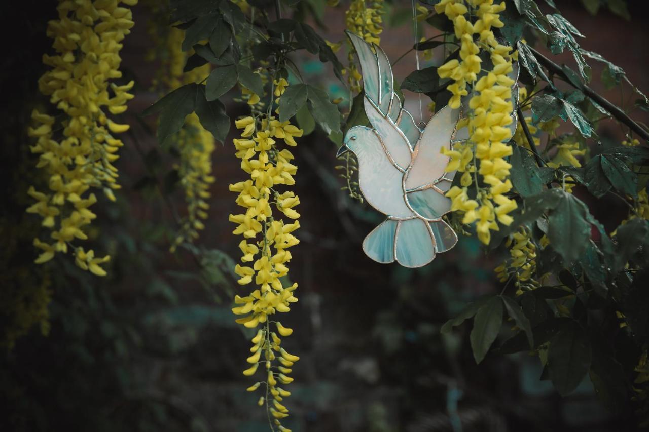 شقة غلاستونبري  في Sacred Garden Retreat الغرفة الصورة